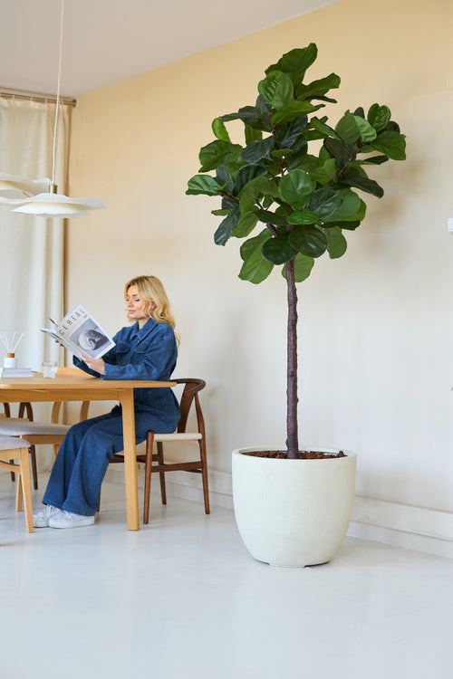 Een vrouw in het blauw leest een tijdschrift aan een houten tafel in een lichte kamer, met de Kunstplant Ficus Tabaksplant Deluxe 215 cm als stijlvol interieurdecor met grote groene bladeren op de voorgrond.