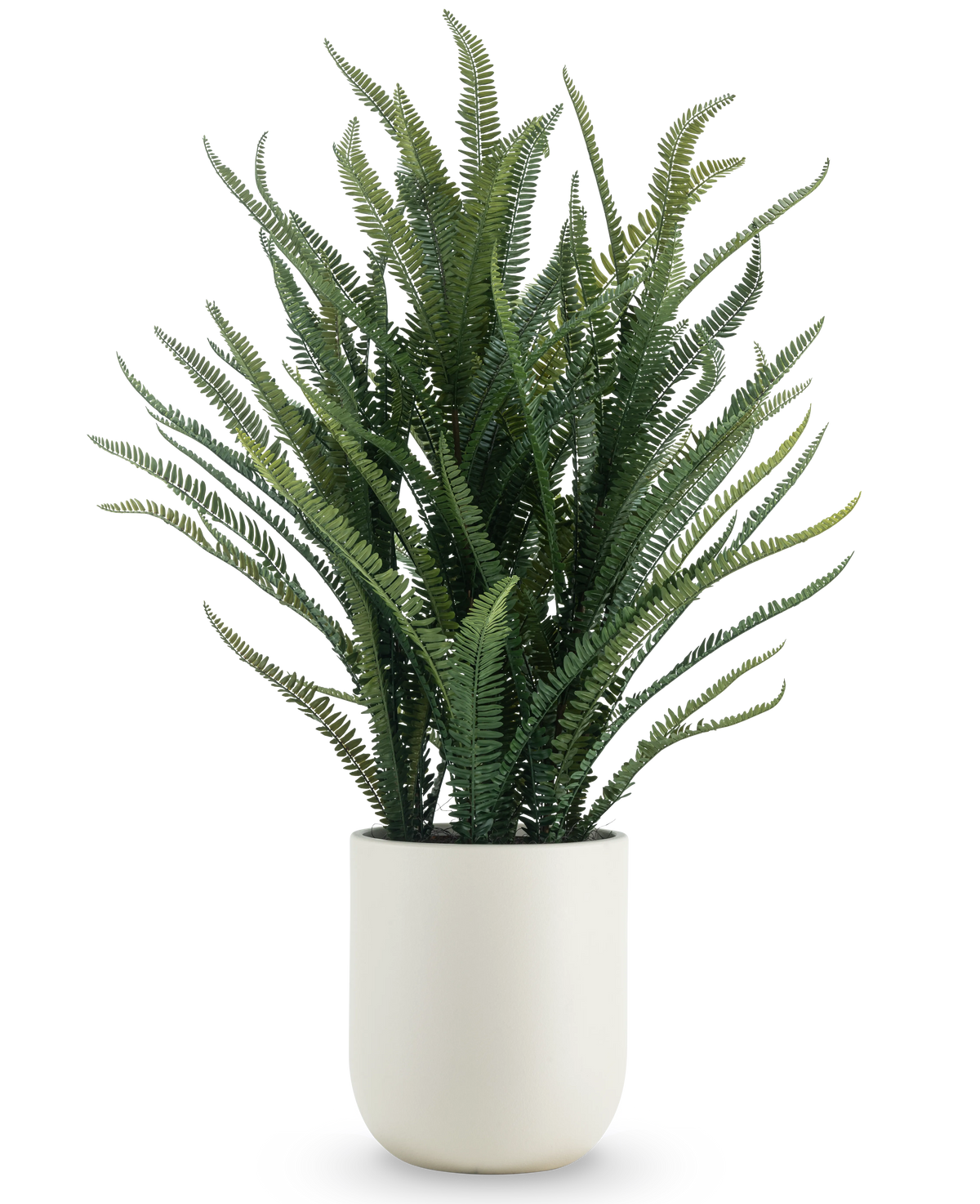 De Kunstplant Bostonvaren 127 cm heeft lange, smalle groene bladeren die omhoog en naar buiten groeien. Ze staat in een gladde witte pot tegen een effen witte achtergrond.