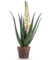 De Kunstplant Aloë met bloem 66 cm is een kunst aloë vera in pot met lange, dikke groene bladeren en een lange gele bloemtak, geïsoleerd op een witte achtergrond.