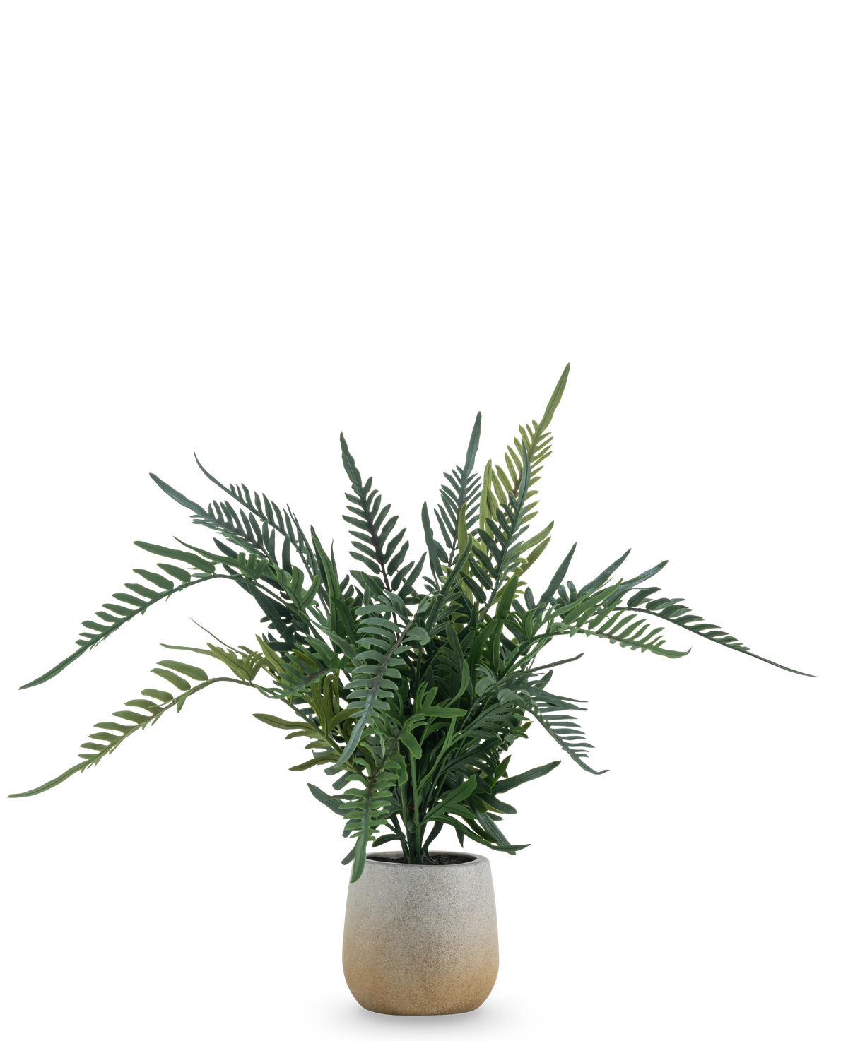 De Kunstplant Varen 51 cm is een kunstvaren met lange, groene, vederachtige bladeren in een eenvoudige ronde pot van lichtgekleurd keramiek, tegen een effen witte achtergrond.