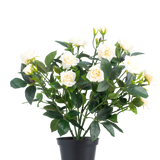 De Kunstplant Patio-roos 35 cm crème UV bestaat uit meerdere stelen, groene bladeren en diverse crèmekleurige rozen in bloei, allemaal geplaatst in een pot tegen een effen witte achtergrond.
