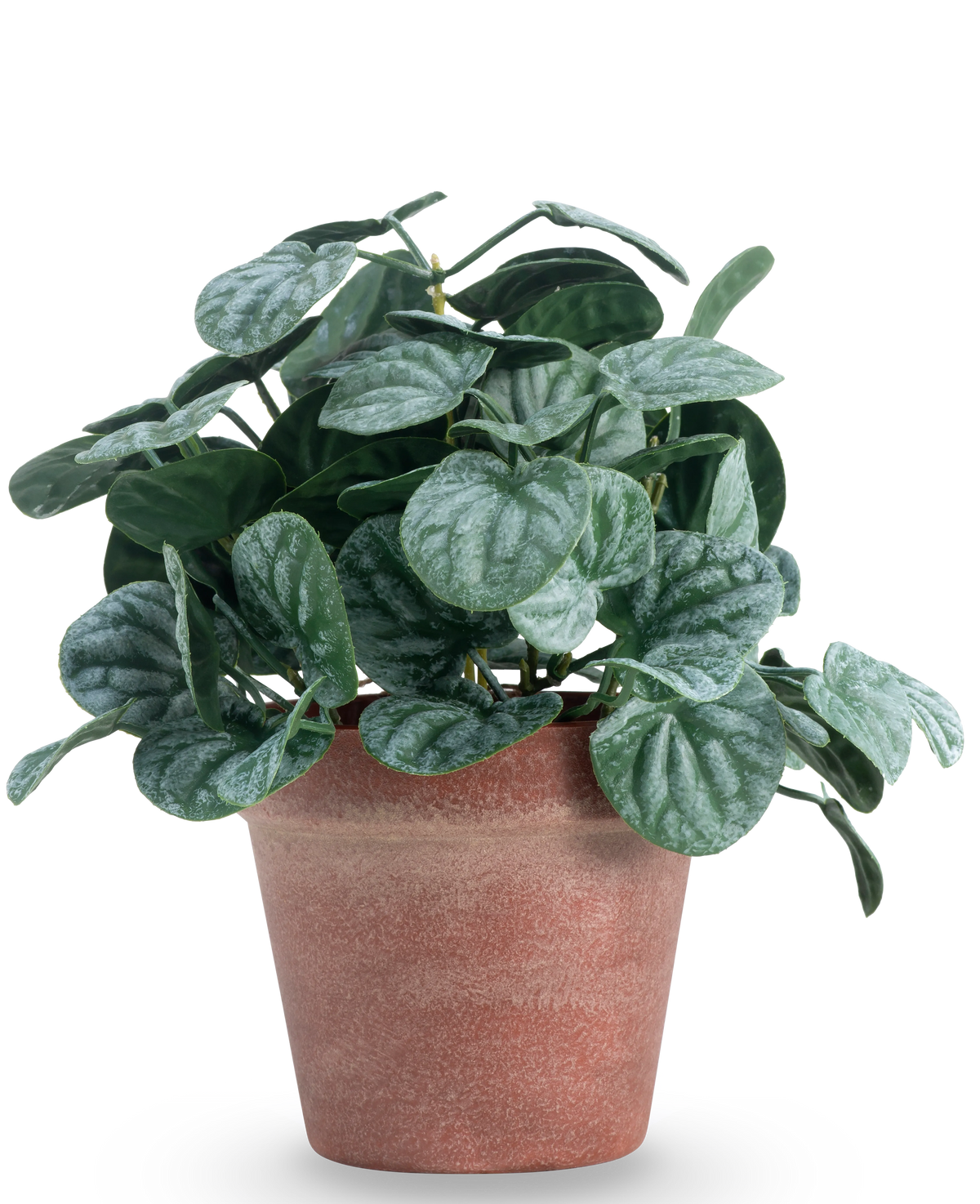 De Kunstplant Rugose blad 26 cm groen heeft ronde, groen getextureerde bladeren in een roodbruine pot van klei, tegen een effen witte achtergrond.