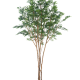 De Kunstboom Murraya paniculata 300 cm heeft meerdere slanke bruine stammen en dicht groen blad in een kleine zwarte plantenbak, tegen een effen witte achtergrond.