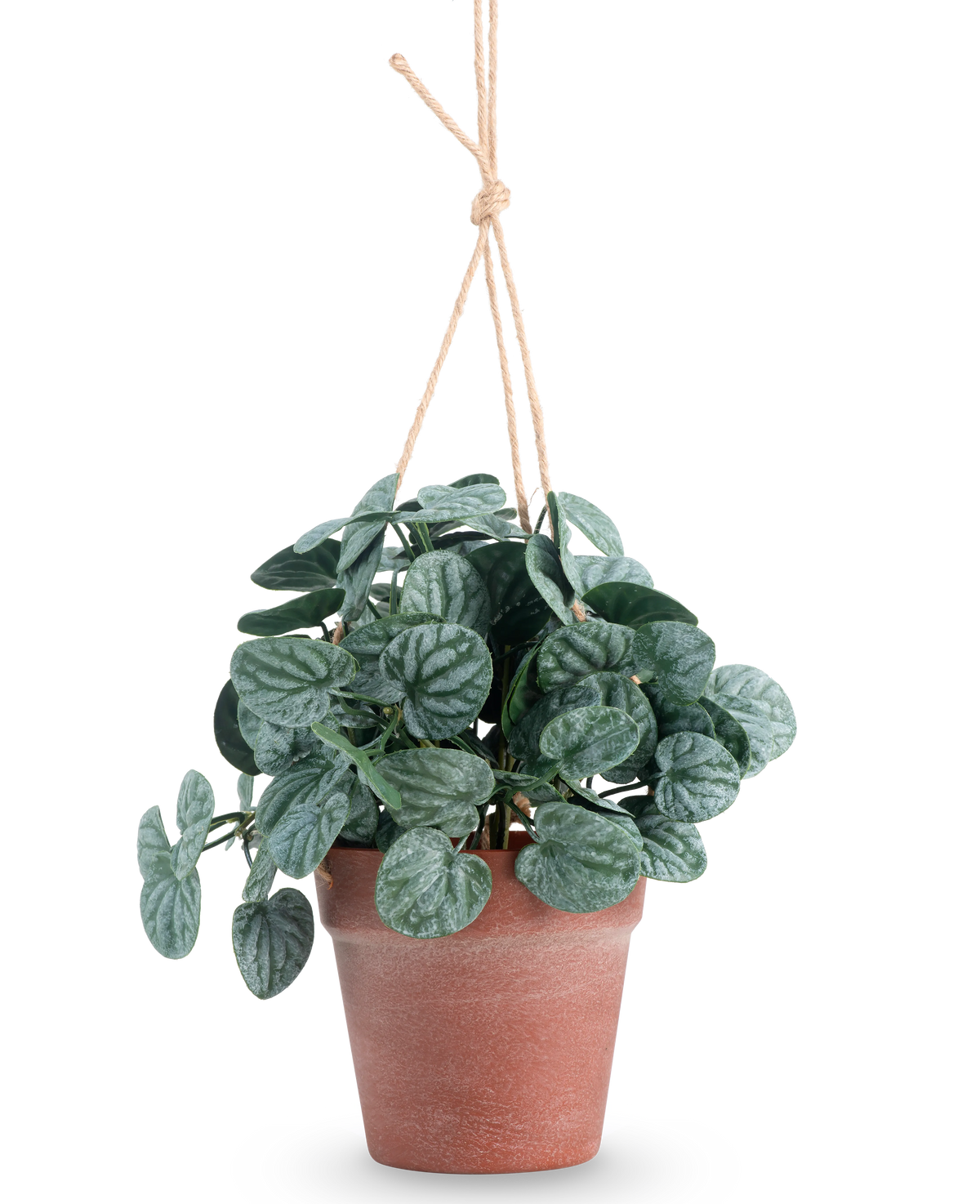 De Kunstplant Rugose blad 29 cm groen in hangpot heeft ronde, donkergroene bladeren in een bruine hangpot, tegen een effen witte achtergrond.