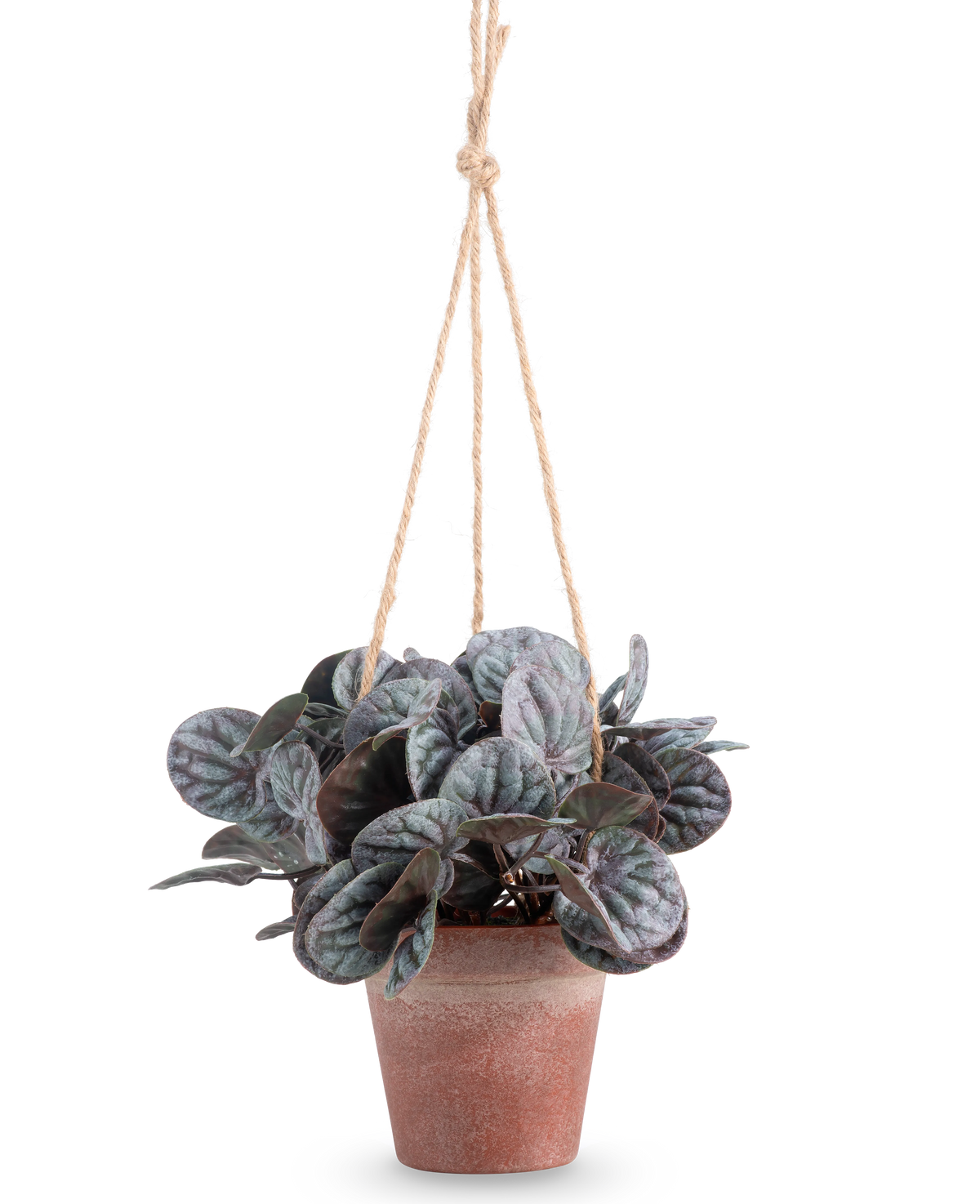 De Kunstplant Rugose blad (18 cm) is een kunstplant met ronde, bladgroene bladeren in een rustiek grijze hangpot, opgehangen aan een tan touwhanger, tegen een effen witte achtergrond.