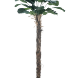 Een Kunstplant Licuala Grandis 220 cm kunstmatige palmboom met grote bladeren.