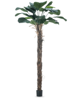 Een Kunstplant Licuala Grandis 220 cm kunstmatige palmboom met grote bladeren.