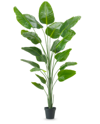 Kunstplant Strelitzia 240 cm real touch