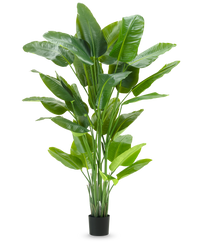 Kunstplant Strelitzia Real Touch Deluxe 210 cm