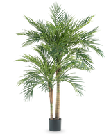 De Kunstplant Areca 180 cm is een hoge kunstpalm met meerdere slanke stammen en lange groene bladeren, in een eenvoudige zwarte pot tegen een witte achtergrond.