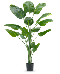 Kunstplant Strelitzia 210 cm real touch