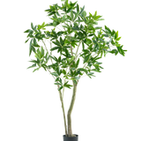 De Kunstplant Pachira 180 cm heeft slanke stammen en overvloedige groene bladeren, gepresenteerd in een hoge pot tegen een effen witte achtergrond.