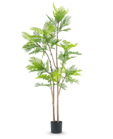 De Kunst Varen plant 210 cm is een hoge kunstplant met meerdere slanke bruine stengels en weelderige groene varenachtige bladeren, tegen een effen witte achtergrond.