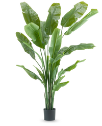 Kunstplant Strelitzia Nicolai Deluxe 210 cm