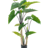 De Kunstplant Calocasia 180 cm is een kunstplant in pot met grote groene pijlvormige bladeren en meerdere stengels, afgebeeld tegen een effen witte achtergrond.