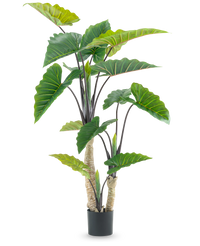 Kunstplant Calocasia 180 cm