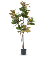 De Kunstplant Yulaniaboom 180 cm is een hoge, onderhoudsvriendelijke kunstplant met brede glanzende groene en bruine bladeren, meerdere slanke stelen en een zwarte cilindrische pot, tegen een effen witte achtergrond.