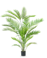 De Kunstplant Chamaedorea 180 cm is een hoge, weelderige groene palm met lange, slanke bladeren op meerdere stammen in een eenvoudige zwarte pot, tegen een witte achtergrond.