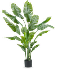 Kunstplant Strelitzia Nicolai Deluxe 180 cm