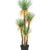 De Kunstplant Yucca deluxe 182 cm is een hoge kunstyucca met meerdere houtachtige stengels en trossen lange, puntige groene bladeren en wat vergeling aan de basis, perfect als decoratiestuk voor elke ruimte.