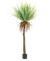 De Kunstplant Yucca 153 cm heeft een hoge, ruwe bruine stam met groene stekelige bladeren aan de bovenkant en wat gedroogde bladeren aan de onderkant, tegen een effen witte achtergrond.