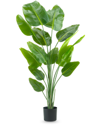 Kunstplant Strelitzia 180 cm real touch