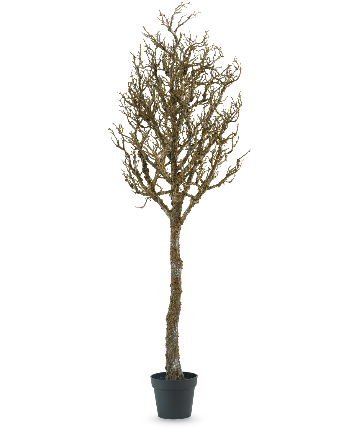 De Kunst decoratie boom met takken 180 cm is een kale, bladerloze boom met veel takken in een zwarte plastic pot, tegen een effen witte achtergrond.