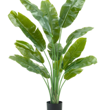 De Kunstplant Strelitzia Nicolai Deluxe 165 cm heeft hoge, brede groene bladeren in een zwarte pot, tegen een witte achtergrond - perfect als groene kunstplant voor je interieur.