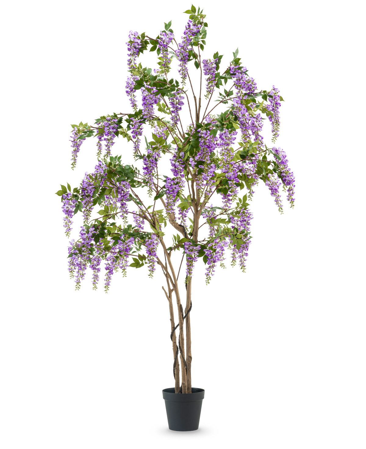 De Kunstplant Blauweregen 280 cm is een hoge kunst blauwe regen boom in een zwarte pot, met meerdere slanke bruine stammen en cascade paarse bloemen met groene bladeren, tegen een effen witte achtergrond.