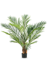 De Kunstplant Areca 150 cm heeft lange, slanke groene bladeren en bruine stelen in een eenvoudige zwarte pot, tegen een effen witte achtergrond.