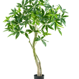 De Kunstplant Pachira 150 cm is een hoge kamerplant in pot met meerdere slanke stammen en trossen brede, glanzend groene bladeren tegen een effen witte achtergrond.