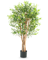 De Kunst olijfboom 120 cm UV heeft meerdere slanke bruine stammen en weelderige groene bladeren in een eenvoudige zwarte pot - ideaal om de mediterrane tuinsfeer in huis te halen.