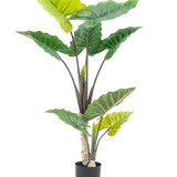 De Kunstplant Calocasia 150 cm heeft grote, brede groene bladeren en stevige bruine stelen in een hoog potontwerp, tegen een witte achtergrond.