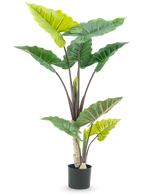 De Kunstplant Calocasia 150 cm heeft grote, brede groene bladeren en stevige bruine stelen in een hoog potontwerp, tegen een witte achtergrond.