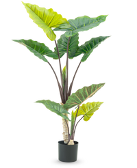 Kunstplant Calocasia 150 cm
