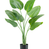 De Kunstplant Strelitzia 120 cm real touch heeft hoge, groene, omhoog groeiende langwerpige bladeren in een zwarte plantenbak, tegen een effen witte achtergrond.