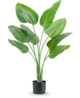 Kunstplant Bananenplant - 300 cm | Tuincentrum De Boet Kunstplant Bananenplant - 300 cm | Tuincentrum De Boet