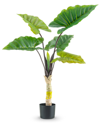 Kunstplant Calocasia 120 cm