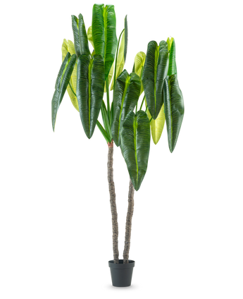 anthurium bruine bladeren Kunstplant Anthurium 240 cm –Easyplants Kunstplanten