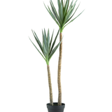 De Kunstplant Heneken 120 cm is een kunstmatige yucca plant met twee hoge, slanke stammen en puntige groene bladeren tegen een effen witte achtergrond.