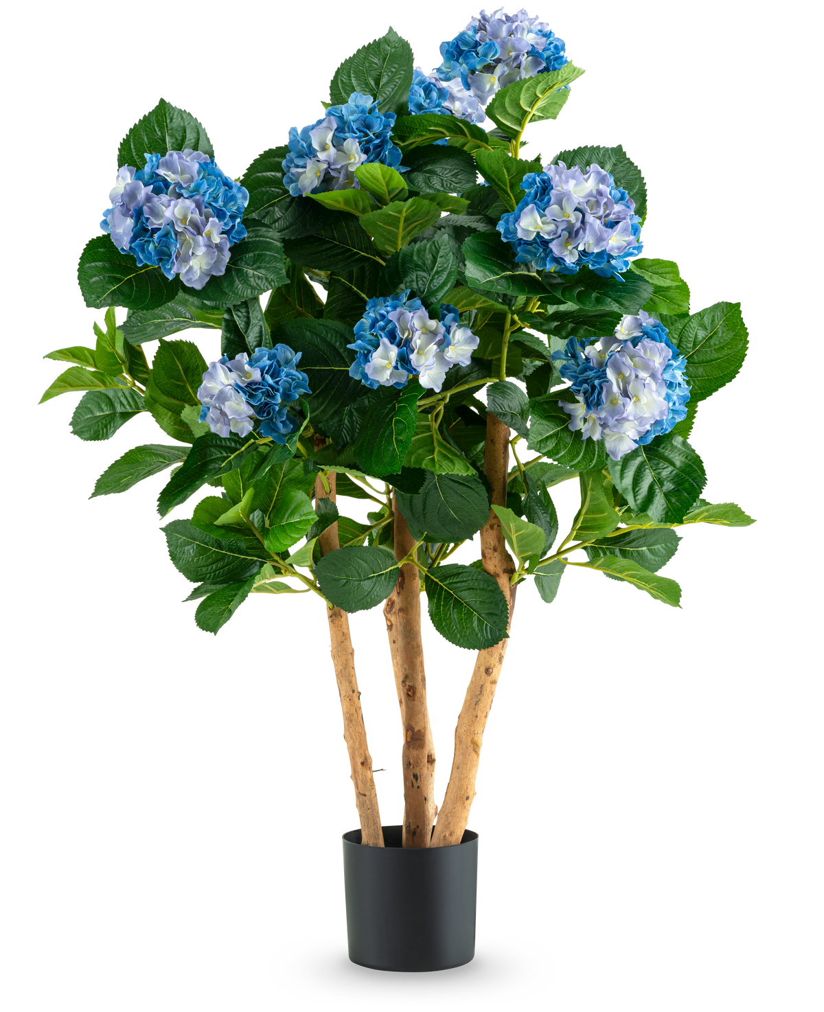 De Kunstplant Hortensia UV 85 cm blauw heeft hoge houten stelen en grote groene bladeren, met trossen blauwe en witte hortensiabloemen in een zwarte pot, perfect voor decoratie.