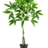 De Kunstplant Pachira 90 cm is een geldboom in pot met een gevlochten stam en trossen glanzend groene bladeren, geïsoleerd afgebeeld op een witte achtergrond.