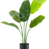 De Kunstplant Strelitzia Nicolai Deluxe 90 cm heeft grote, glanzend groene bladeren op lange stelen en wordt gepresenteerd in een eenvoudige zwarte pot tegen een effen witte achtergrond.