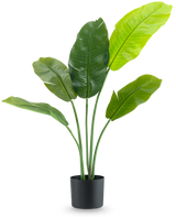 De Kunstplant Strelitzia Nicolai Deluxe 90 cm heeft grote, glanzend groene bladeren op lange stelen en wordt gepresenteerd in een eenvoudige zwarte pot tegen een effen witte achtergrond.