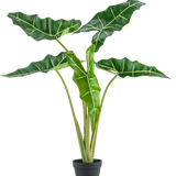 De Kunstplant Alocasia 80 cm heeft grote, donkergroene pijlvormige bladeren met lichtgroene nerven en wordt geleverd in een eenvoudige zwarte pot, tegen een effen witte achtergrond.