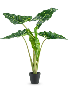 De Kunstplant Alocasia 80 cm heeft grote, donkergroene pijlvormige bladeren met lichtgroene nerven en wordt geleverd in een eenvoudige zwarte pot, tegen een effen witte achtergrond.