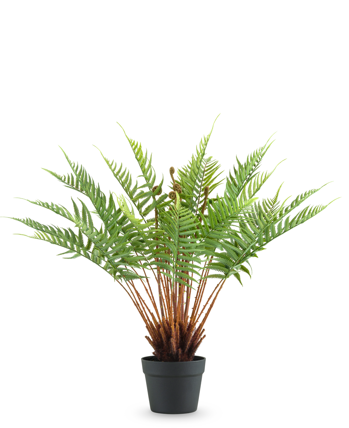 De Kunstplant Varen 66 cm is een kunstvaren in pot met lange, donzige groene bladeren en bruine stengels, tegen een effen witte achtergrond.