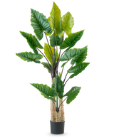 De Kunstplant Calocasia 210 cm heeft lange, stevige stelen en grote groene tropische bladeren, gerangschikt in een zwarte pot tegen een effen witte achtergrond.