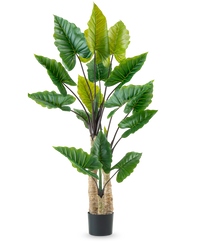 Kunstplant Calocasia 210 cm