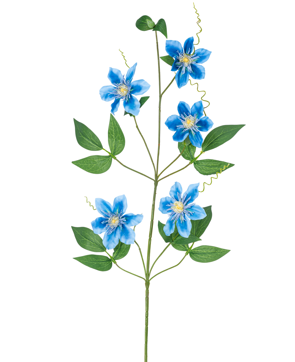 De Kunstbloem Clematis dubbel 82 cm blauw heeft een enkele liaanstengel met vijf levendige blauwe bloemen en verschillende groene bladeren, prachtig weergegeven tegen een effen witte achtergrond.
